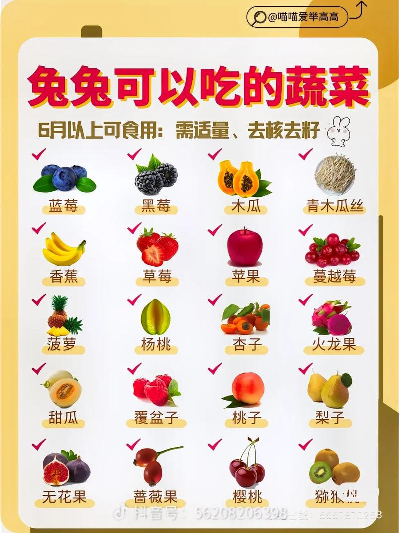 兔子可以吃蔬菜吗？ 兔子吃什么蔬菜？(图1)