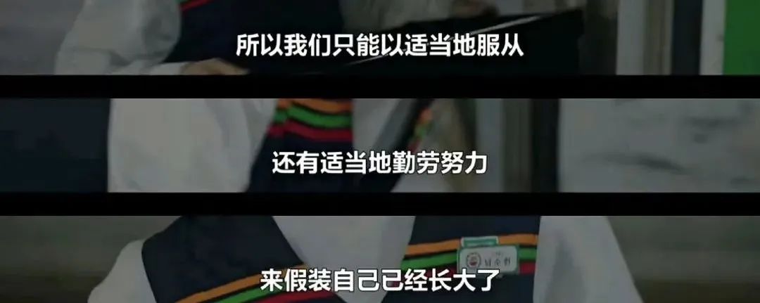 **批“好学生心态”受害者，沦为职场最惨软柿子(图19)
