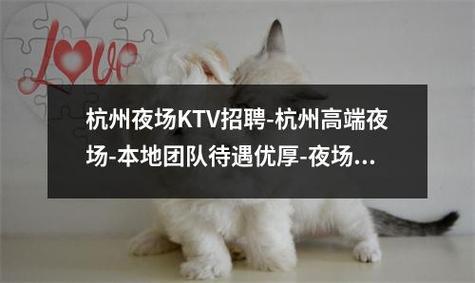 杭州酒店招聘纯出女孩5000起-广州海珠中高端招聘平台-夜场跟对团队很关键[20年公司.**高薪](图1)