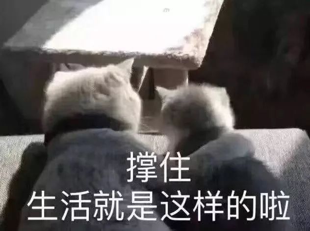 2019年，并不简单的一年(图16)
