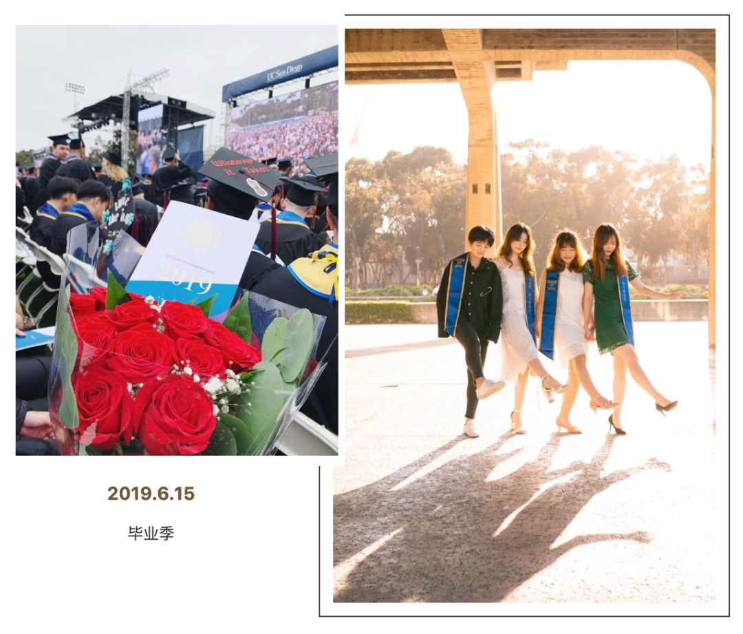 2019年，并不简单的一年(图22)