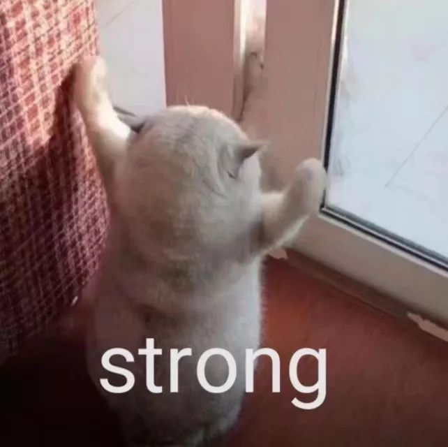 2019年，并不简单的一年(图29)