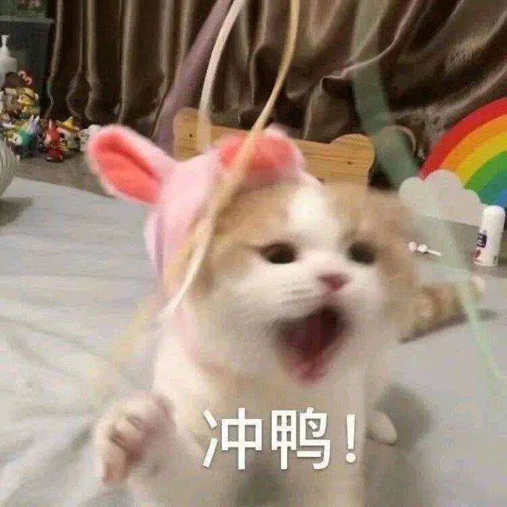 面试技巧丨人力资源实习生面试问题大赏(图4)