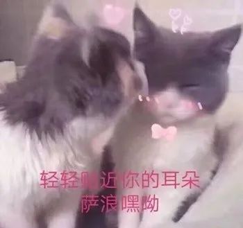 和空姐直播的日子(图1)