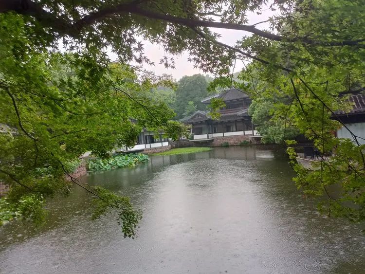 在杭州的海南中学白沙学校高一学生作为职场新人，他们居然……(图11)