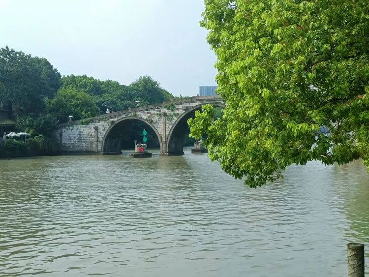 在杭州的海南中学白沙学校高一学生作为职场新人，他们居然……(图9)