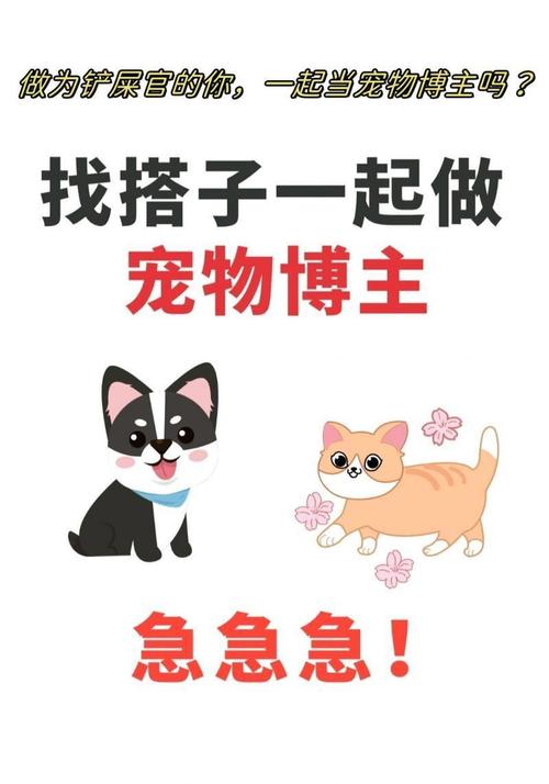 三亚酒店日结2000一单一结-深圳私人招聘纯出女孩——给你一个赚钱的机会和平台(图1)