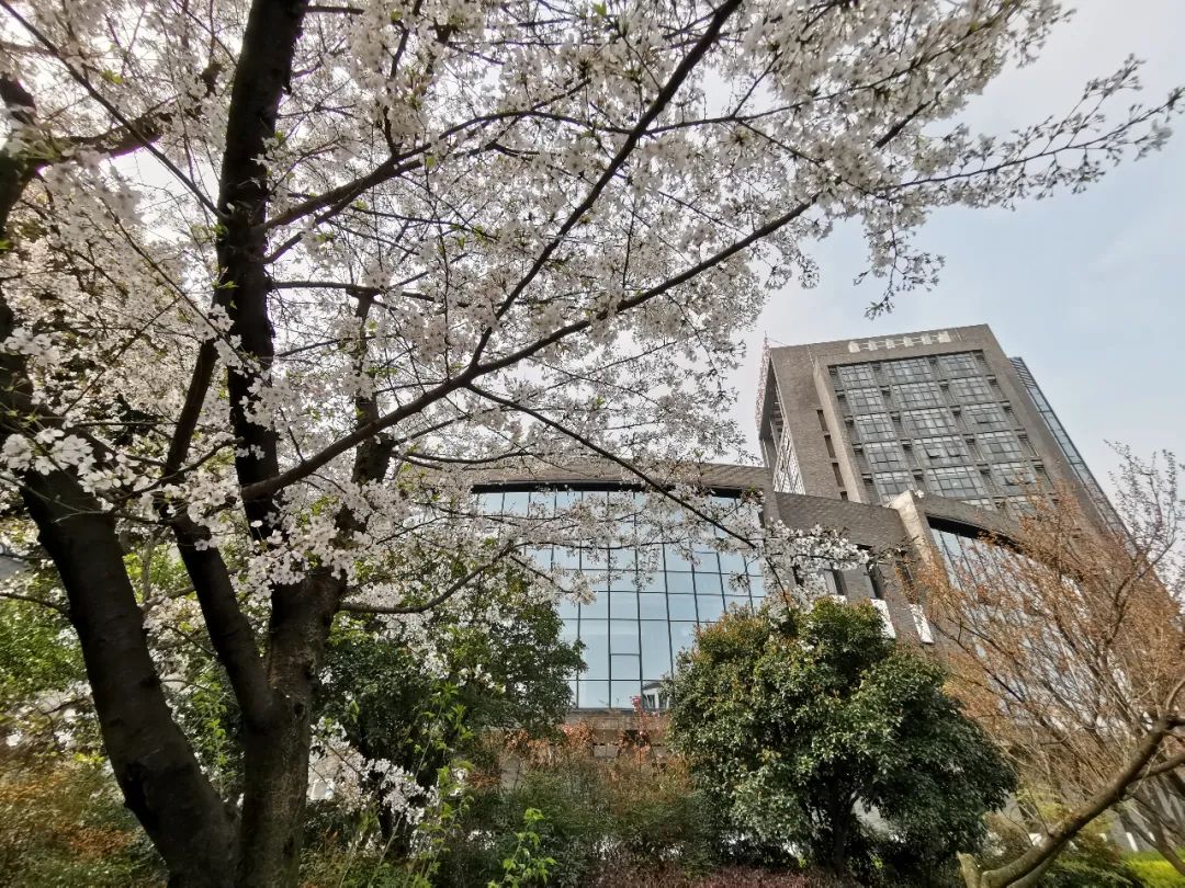 学技术、考大学，圆青春梦想——2022美丽的诸暨技师学院欢迎你(图2)