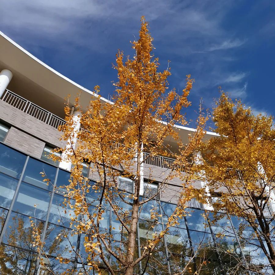 学技术、考大学，圆青春梦想——2022美丽的诸暨技师学院欢迎你(图54)