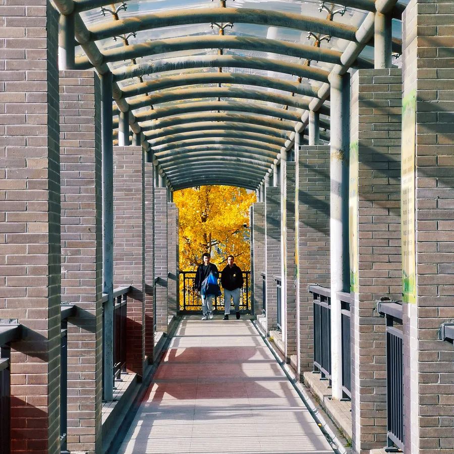 学技术、考大学，圆青春梦想——2022美丽的诸暨技师学院欢迎你(图62)
