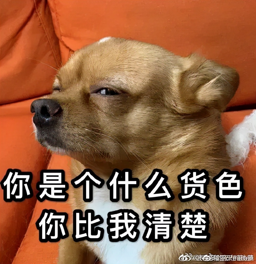 妈妈们，请为自己而活(图6)