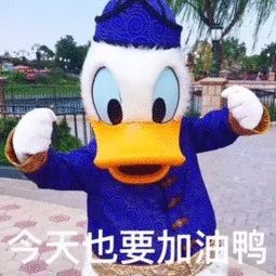 “工作经验和学历哪个更重要？”(图11)