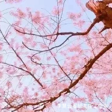 【计划篇】杨金燕老师工作室2024年个人工作计划(图1)