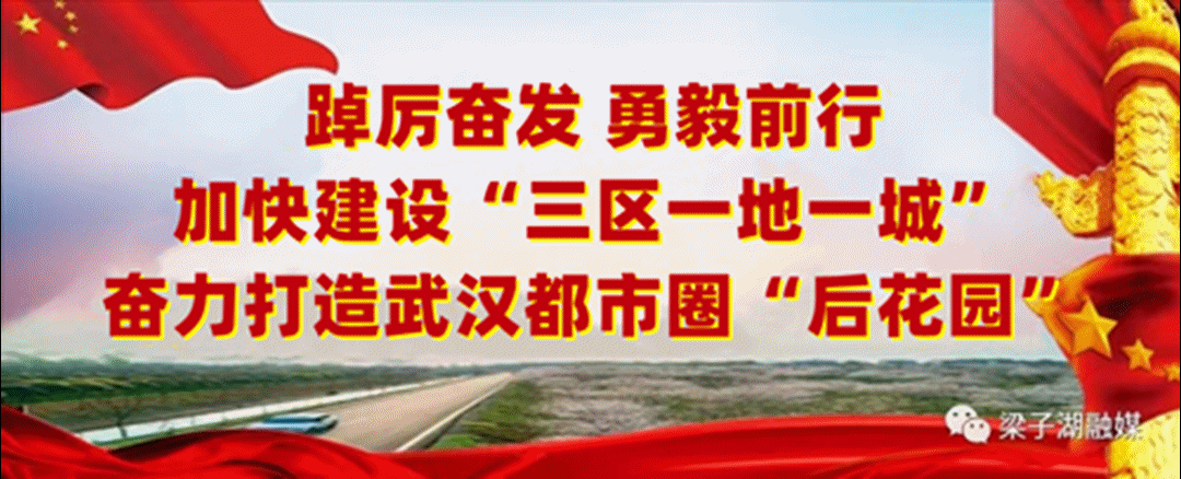 当民兵，我光荣！梁子湖区2025年基干民兵征集公告(图1)