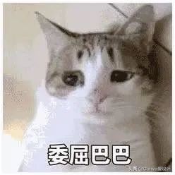我花了180块，终于搞明白了闲鱼改简历背后的套路(图12)