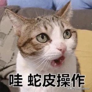 我花了180块，终于搞明白了闲鱼改简历背后的套路(图22)