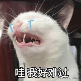 我花了180块，终于搞明白了闲鱼改简历背后的套路(图10)