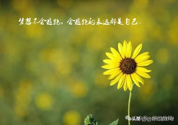 80 年 44 岁，才开始顿悟：一个人工作不顺利，大半源于性格(图1)