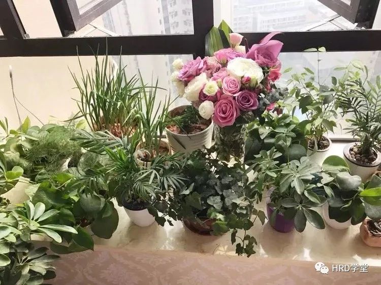 拿来就用的60个最常见的求职面试问题和技巧性答案(图26)