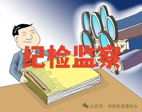 2024年纪检工作存在的不足及2025年工作计划(图1)