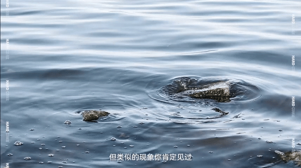 上网课还有困难模式，他们爬上山顶找信号(图3)