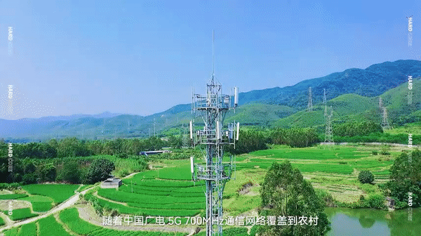 上网课还有困难模式，他们爬上山顶找信号(图8)