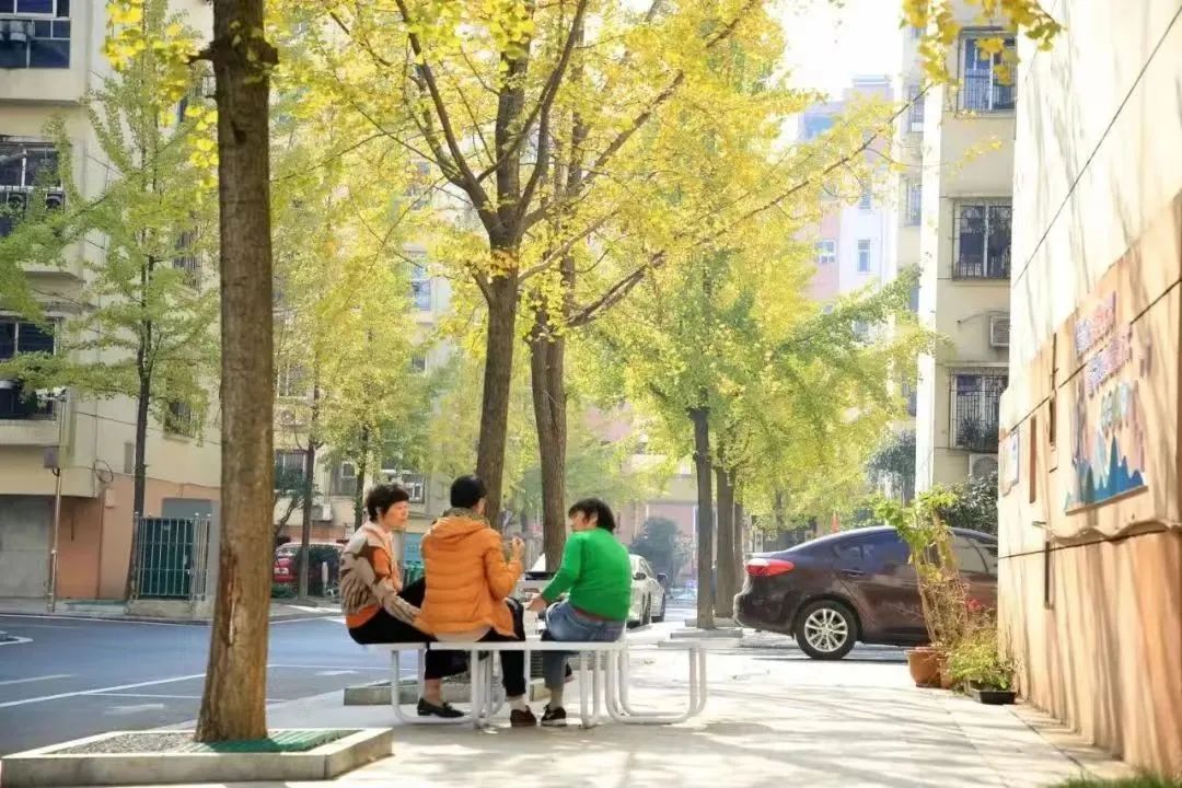 新法解读 | 新余市爱国卫生工作条例： 用法治为“爱卫”护航(图4)