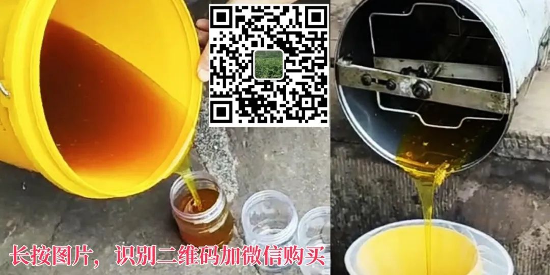 《便民通江》招聘护士、会计等，岗位好！另有低价卖房子(图11)