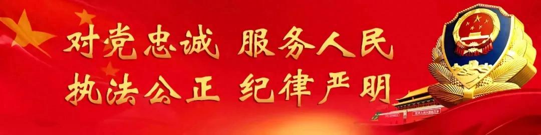 市委巡视六组对天津市公安局交通警察总队党委开展作风建设专项巡视(图1)