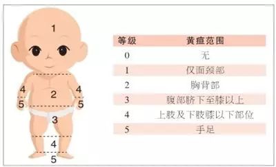 就26天请个月嫂要近二万？别开玩笑了！但金牌月嫂，就值这个钱！(图3)