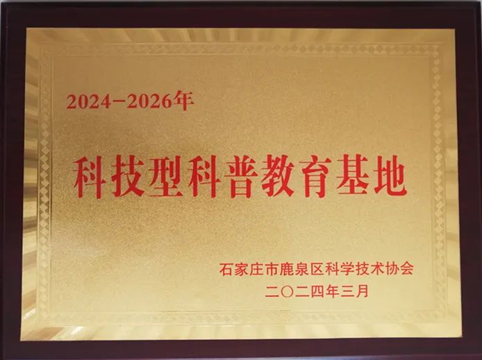 总结工作谋新篇  积极探索新路径——河北传和教育2024年工作总结(图12)