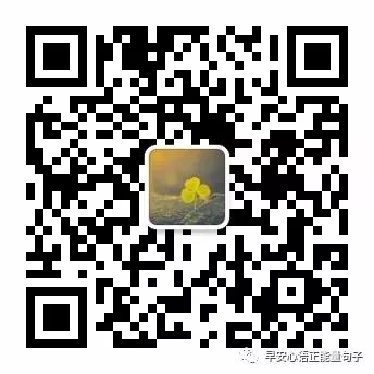 心灵鸡汤经典语录励志  心灵鸡汤职场励志语录(图2)