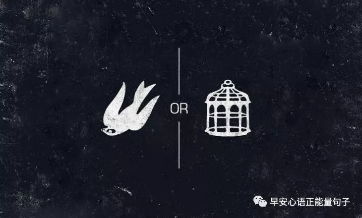 心灵鸡汤经典语录励志  心灵鸡汤职场励志语录(图4)