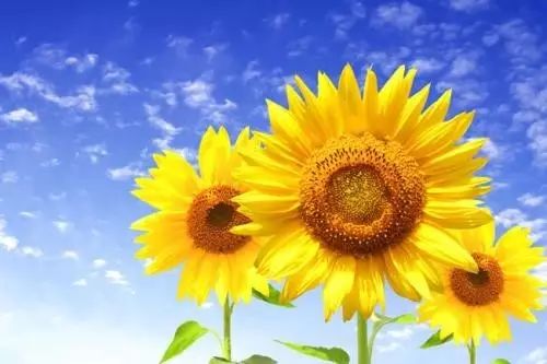 21个最经典的职场励志寓言小故事(图2)