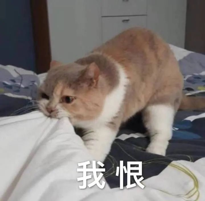 拿到Offer等于万事大吉？NO！盘点秋招Offer那些坑(图11)