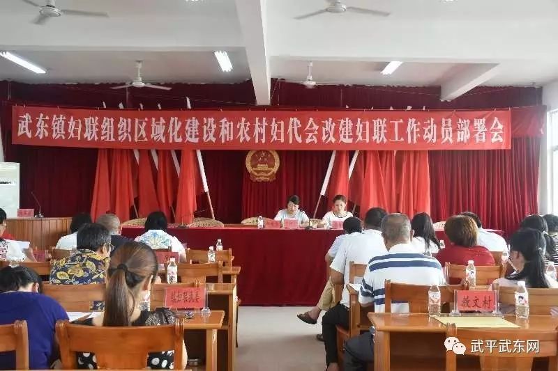 武东镇全面完成妇代会改建妇联工作(图1)