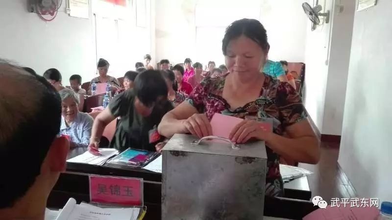 武东镇全面完成妇代会改建妇联工作(图10)