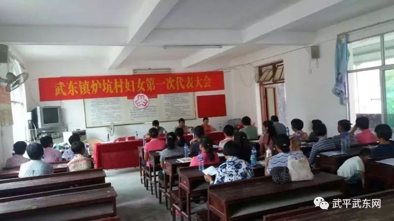 武东镇全面完成妇代会改建妇联工作(图11)