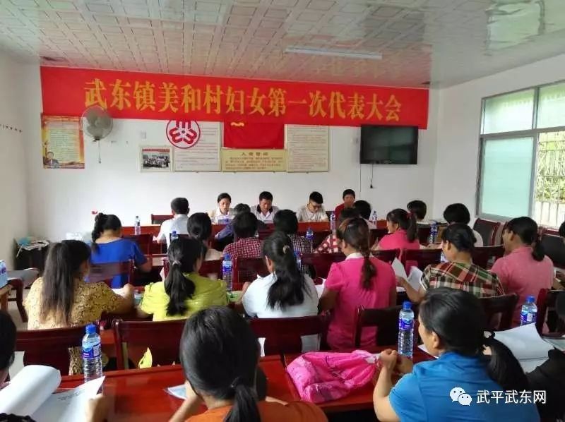 武东镇全面完成妇代会改建妇联工作(图12)