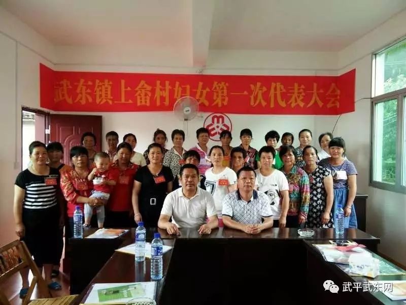 武东镇全面完成妇代会改建妇联工作(图13)