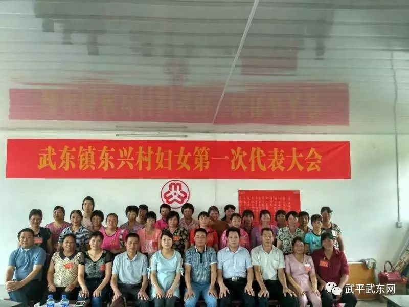 武东镇全面完成妇代会改建妇联工作(图14)