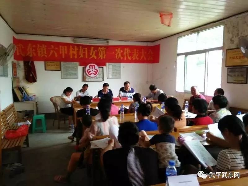 武东镇全面完成妇代会改建妇联工作(图15)