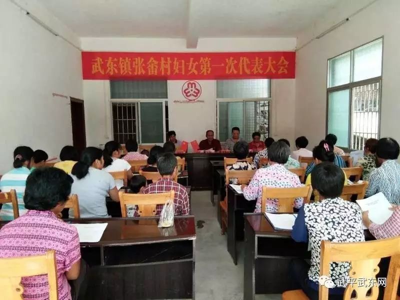 武东镇全面完成妇代会改建妇联工作(图17)