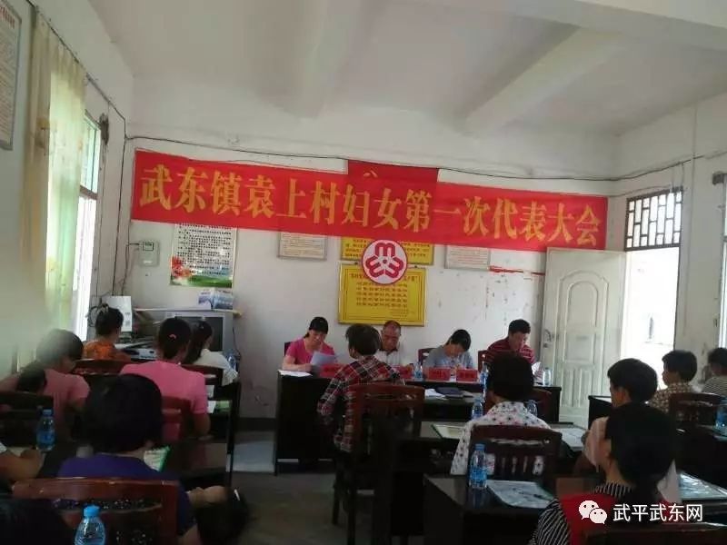 武东镇全面完成妇代会改建妇联工作(图19)