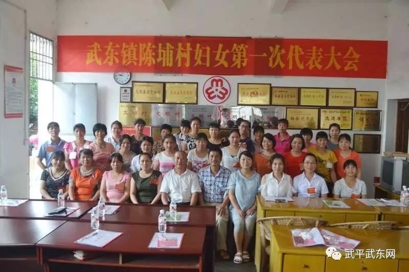 武东镇全面完成妇代会改建妇联工作(图2)