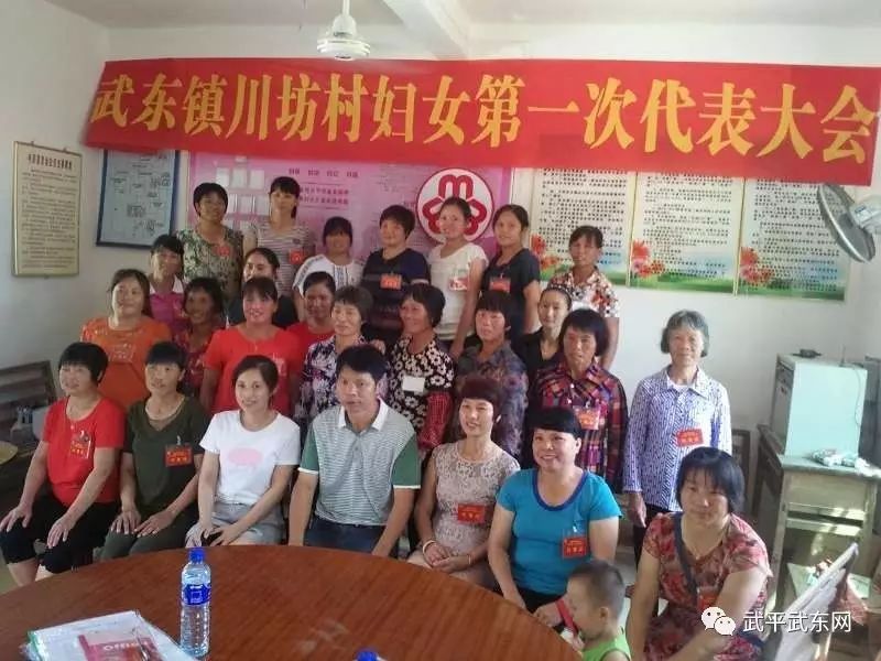 武东镇全面完成妇代会改建妇联工作(图20)