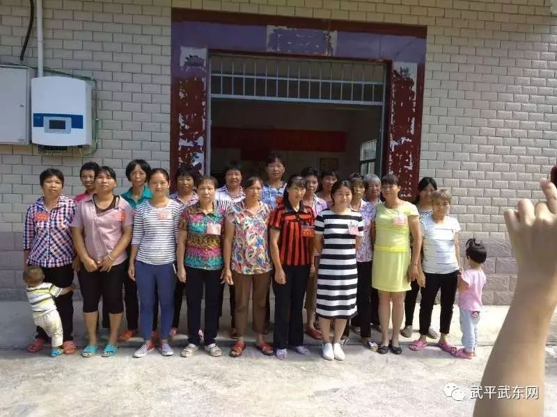武东镇全面完成妇代会改建妇联工作(图21)