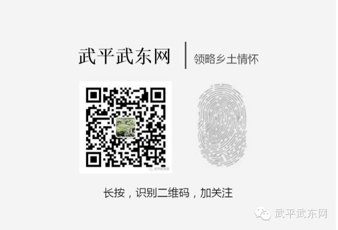 武东镇全面完成妇代会改建妇联工作(图23)