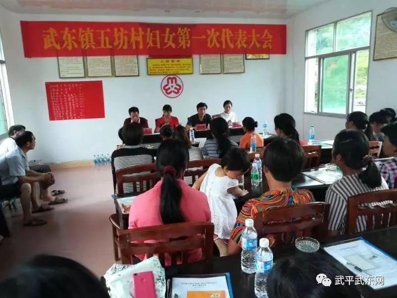 武东镇全面完成妇代会改建妇联工作(图3)