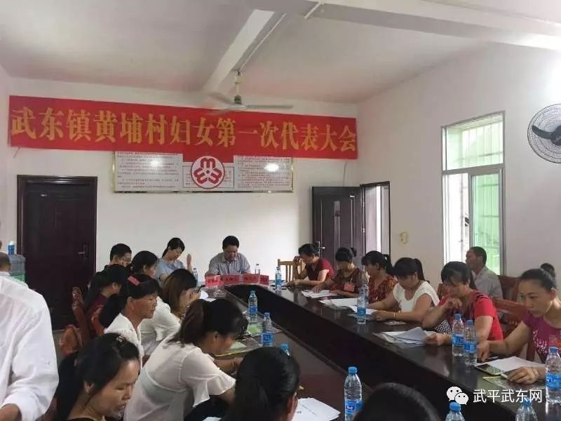 武东镇全面完成妇代会改建妇联工作(图5)